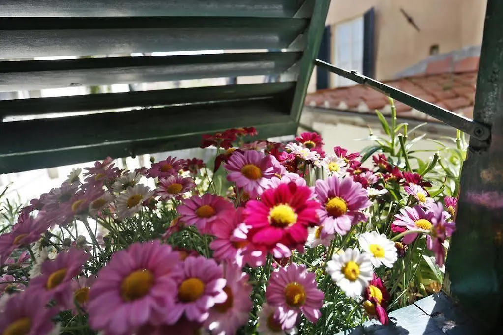 La Butterfly Guest Apartment Italy
